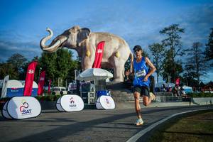 BIB: 
                            <button type="button" onclick="openModal(26541589)" class="btn btn-primary btn-sm float-right btn-popup" data-toggle="modal" data-target=".modal-high-quality">
                        <i class="fas fa-shopping-cart"></i> Add to Cart
                    </button>
                                            <button type="button" onclick="isThisMe(26541589, true)" class="btn btn-success btn-sm float-right btn-popup btn-isme hidden" data-toggle="tooltip" data-placement="bottom" title="นี่คือรูปของคุณใช่ไหม คลิกที่นี่เพื่อเอาเข้าอัลบั้ม">
                        <i class="fas fa-plus"></i> Add to album
                    </button>
                    <button type="button" onclick="isThisMe(26541589, false)" class="btn btn-warning btn-sm float-right btn-popup btn-isnotme hidden">
                        <i class="fas fa-ban"></i> Remove from album
                    </button>